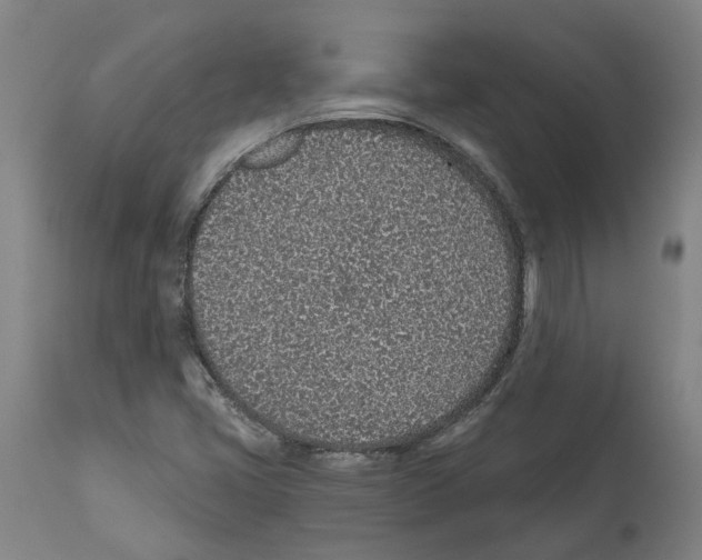 X0000112381405200909241203