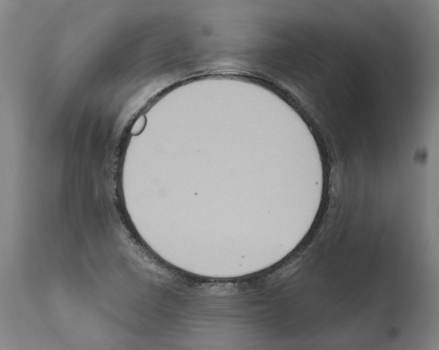 X0000112381410200909241204