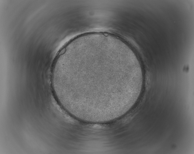 X0000112381412200909241204