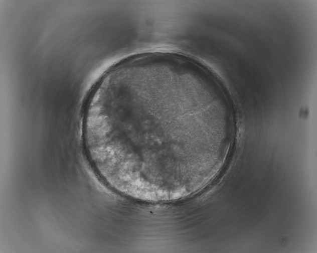 X0000112381414200909241204