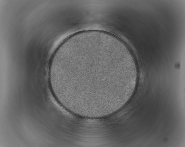 X0000112381416200909241204