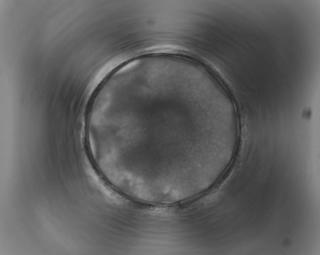 X0000112381418200909241204