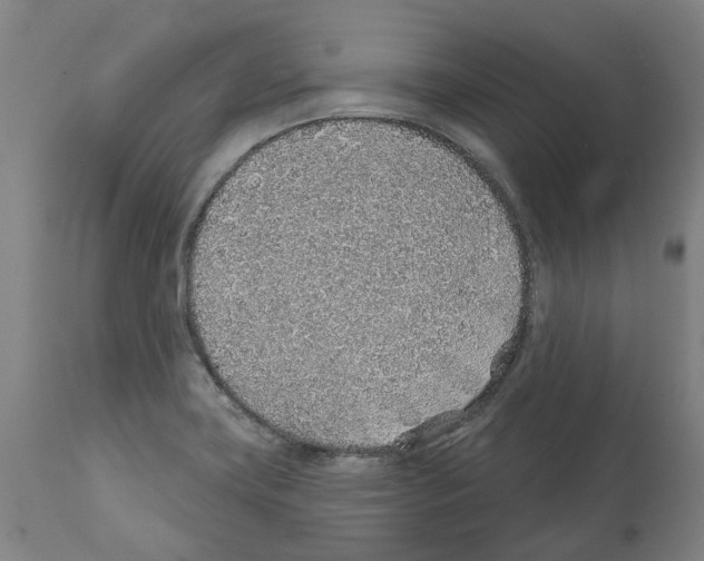 X0000112381419200909241204