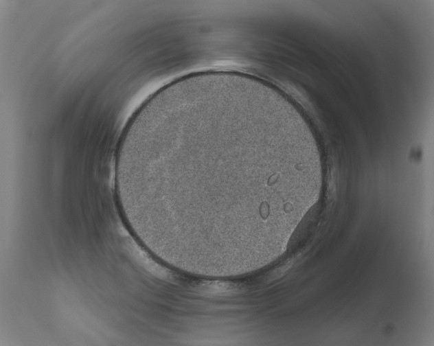 X0000112381420200909241204