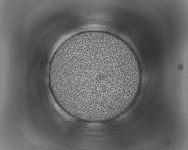 X0000112381421200909241204