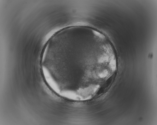 X0000112381422200909241204