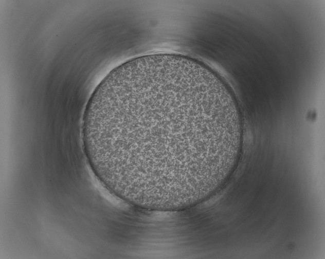 X0000112381423200909241204