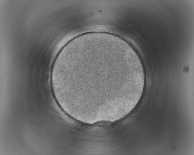 X0000112381424200909241204