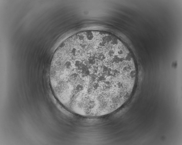 X0000112381425200909241204