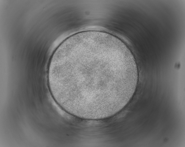 X0000112381430200909241204