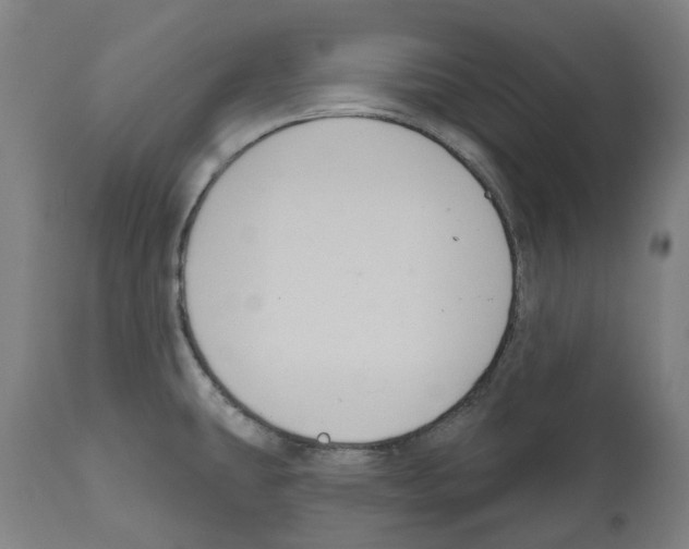 X0000112381431200909241204