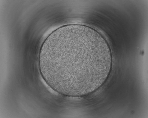 X0000112381432200909241204