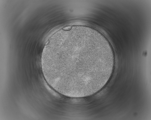 X0000112381433200909241204