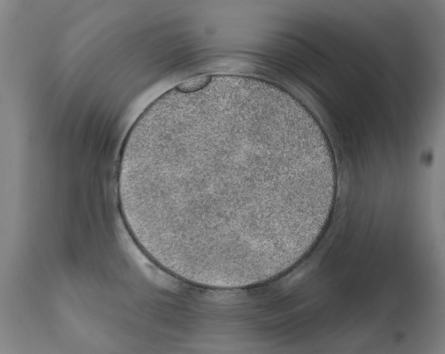 X0000112381434200909241204