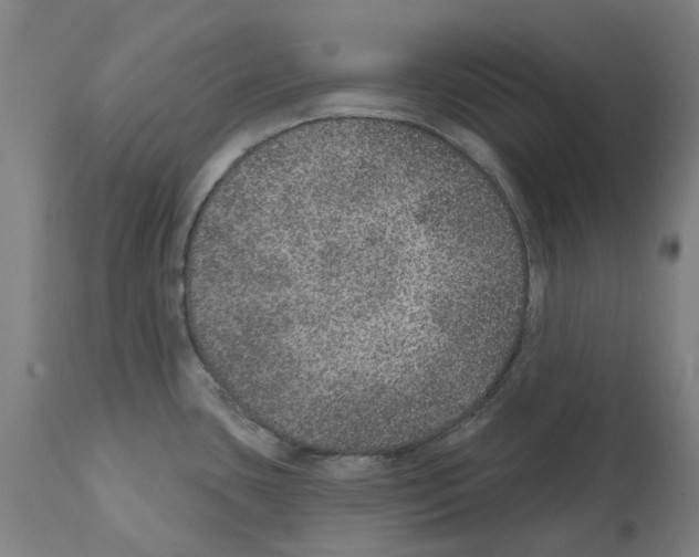 X0000112381435200909241204