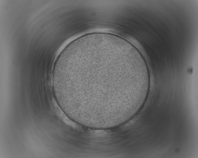 X0000112381436200909241204