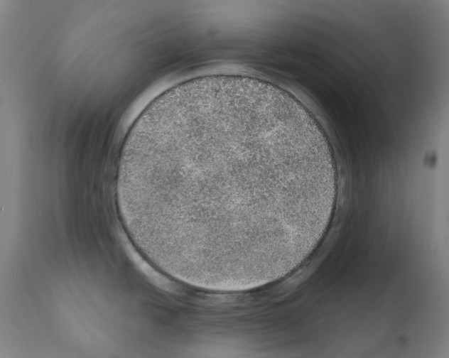 X0000112381438200909241204