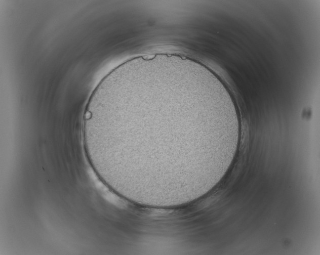 X0000112381439200909241204