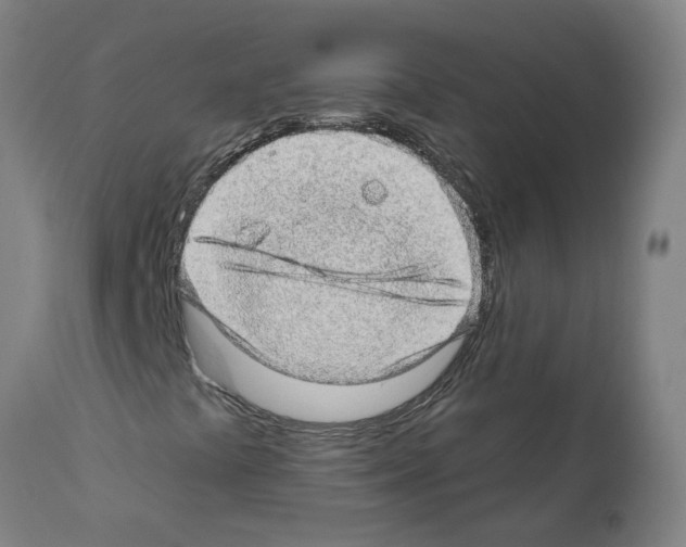 X0000112381441200909241203