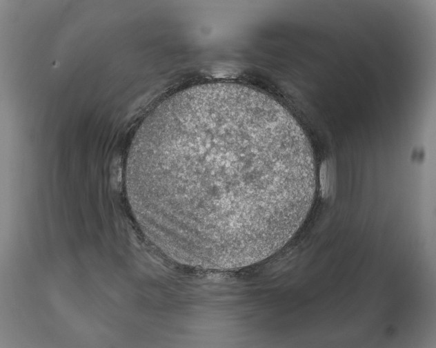 X0000112381443200909241203