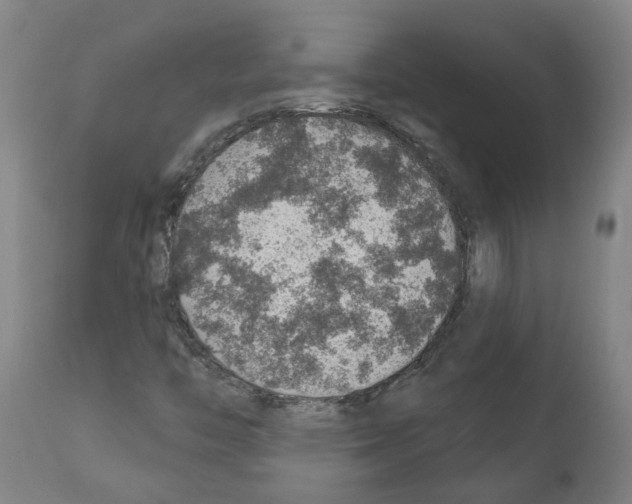 X0000112381446200909241203