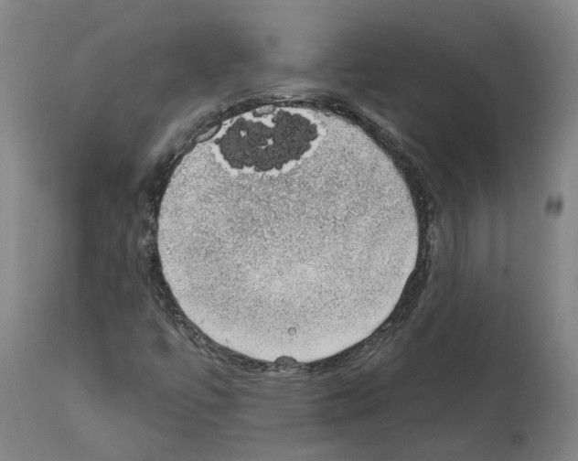 X0000112381447200909241203