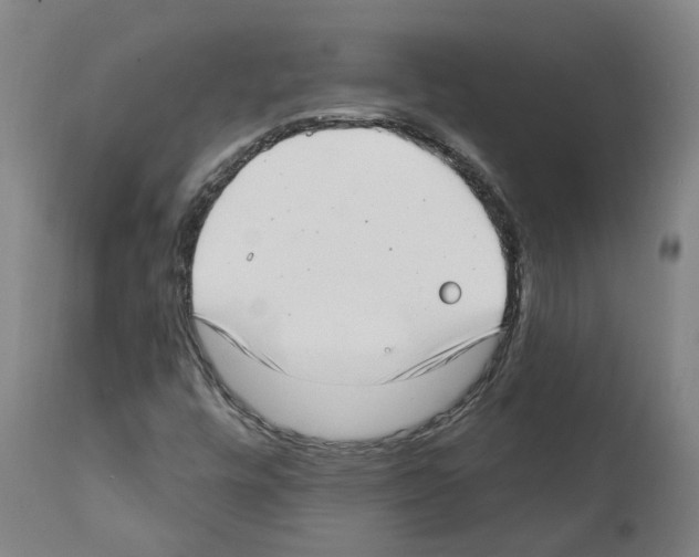 X0000112381448200909241203