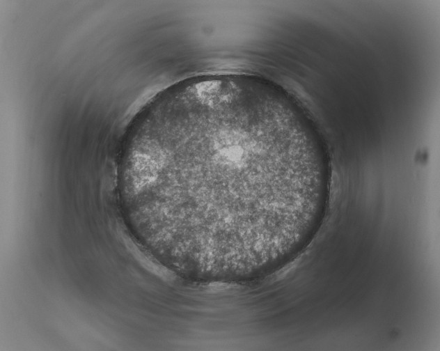 X0000112381449200909241203