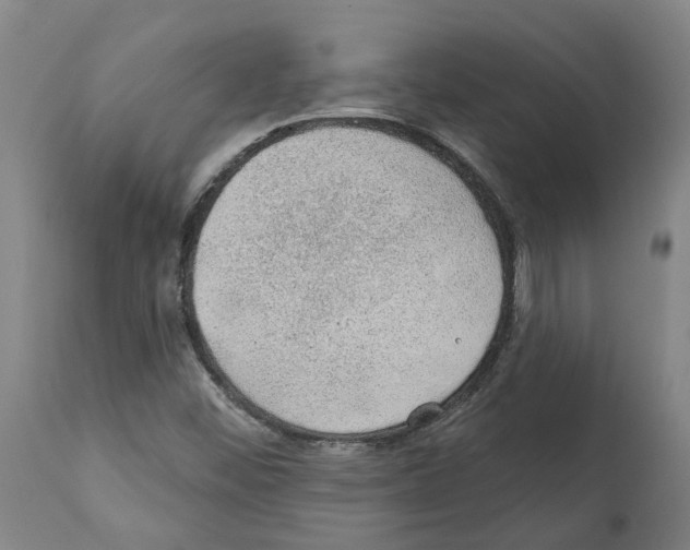 X0000112381452200909241203