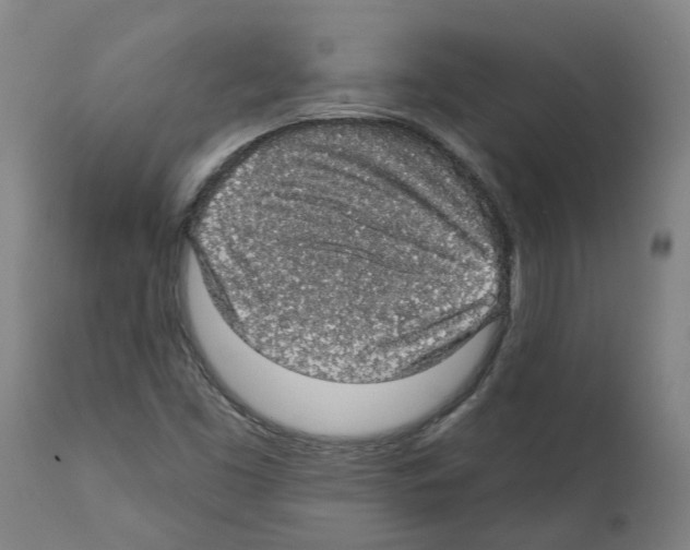 X0000112381453200909241203