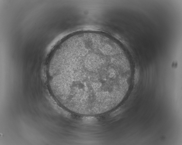 X0000112381454200909241203