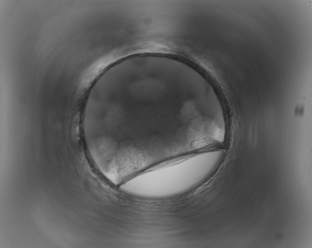 X0000112381455200909241203