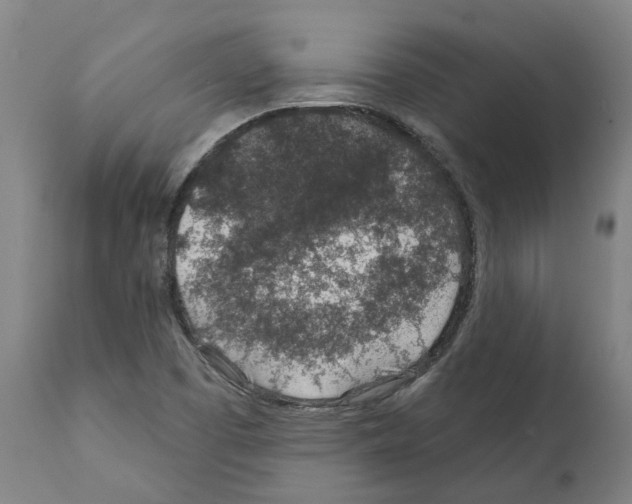 X0000112381457200909241203