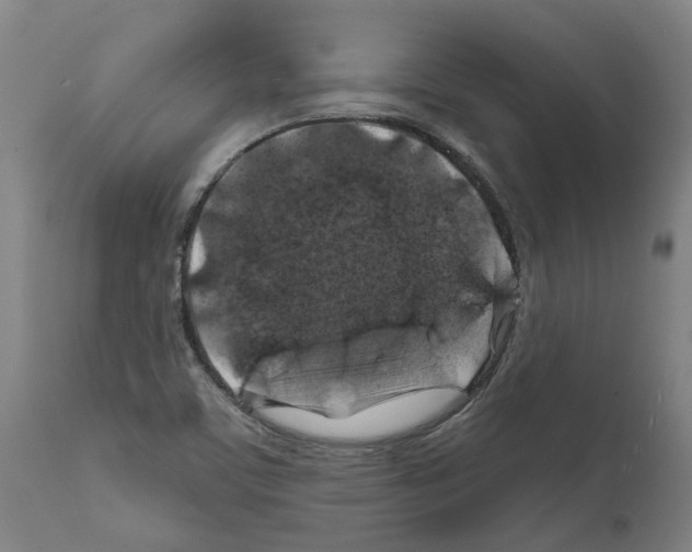 X0000112381459200909241203