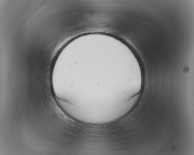 X0000112381460200909241203