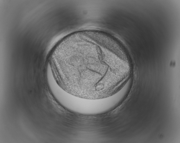 X0000112381461200909241203