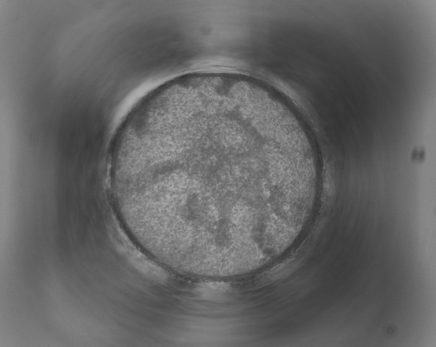 X0000112381462200909241203