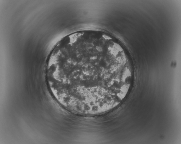 X0000112381463200909241203