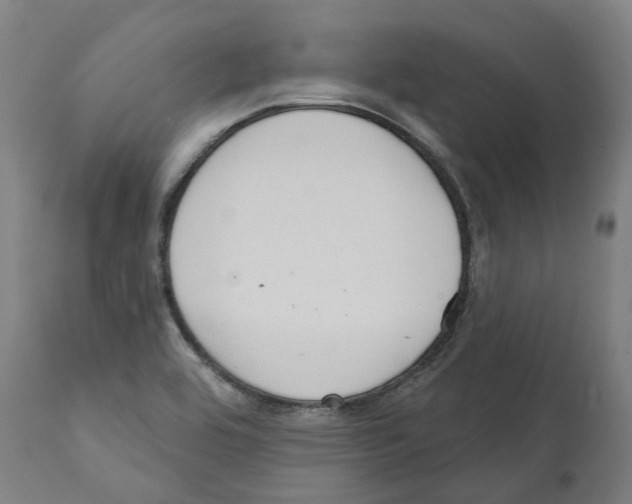 X0000112381464200909241203