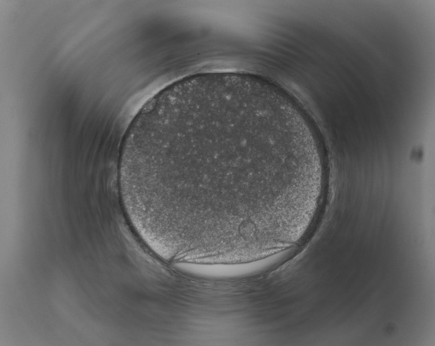 X0000112381465200909241203