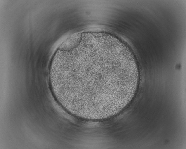 X0000112381467200909241203