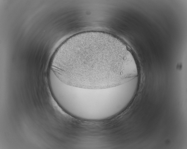 X0000112381468200909241203