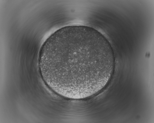 X0000112381469200909241203