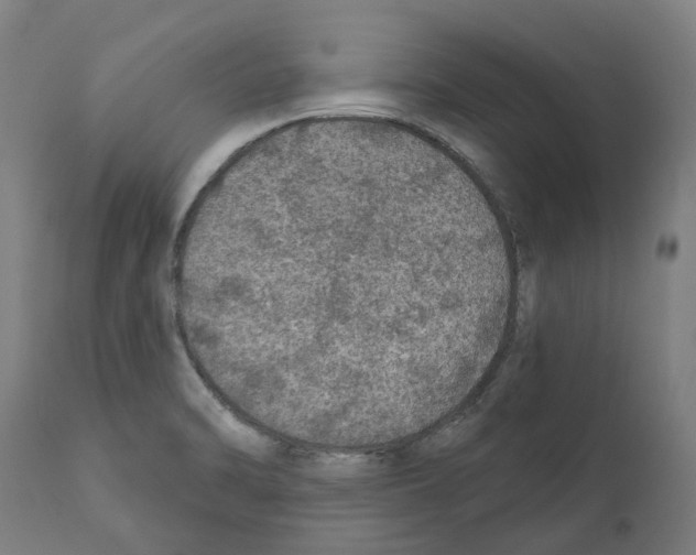 X0000112381470200909241203