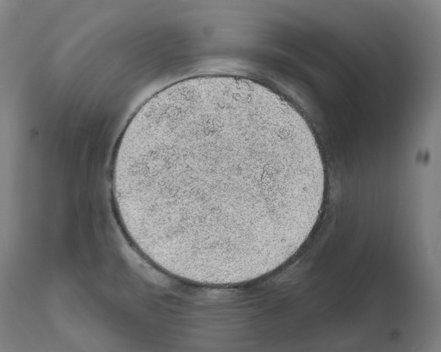 X0000112381471200909241203