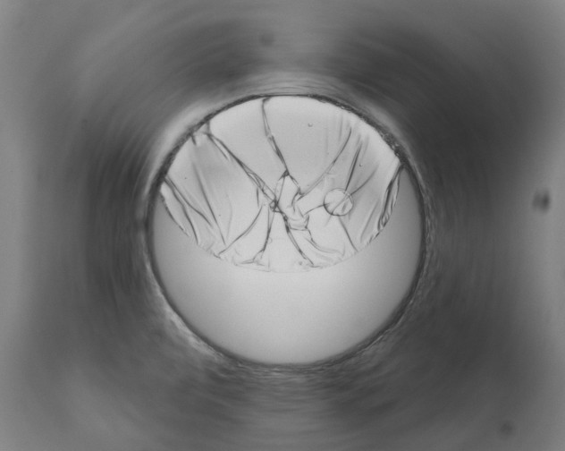 X0000112381472200909241203