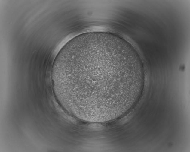 X0000112381473200909241203