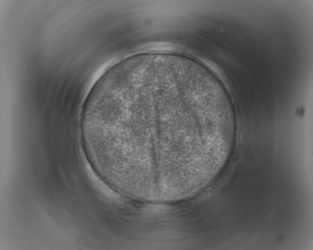 X0000112381475200909241202