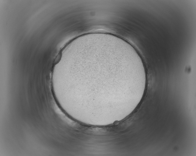 X0000112381476200909241202