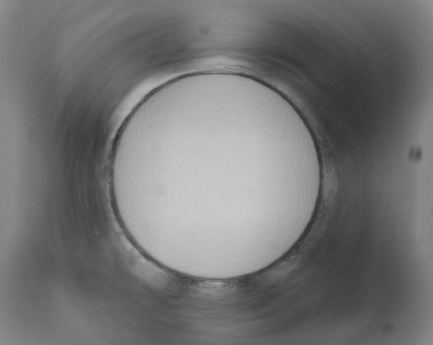 X0000112381478200909241202